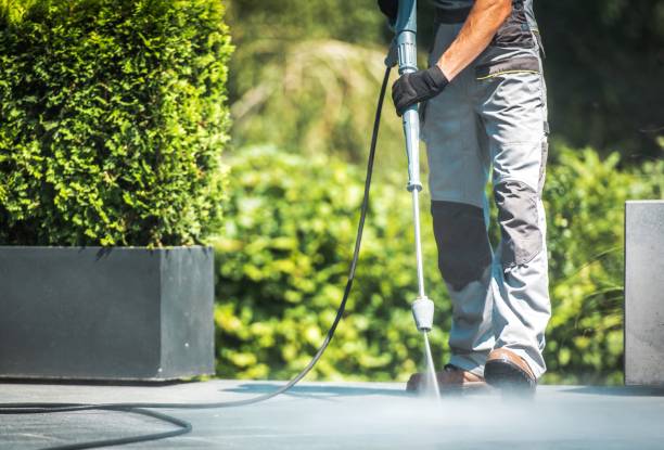 Best Sidewalk and Walkway Cleaning  in Peru, IN