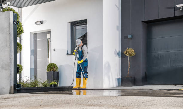Best Roof Washing  in Peru, IN